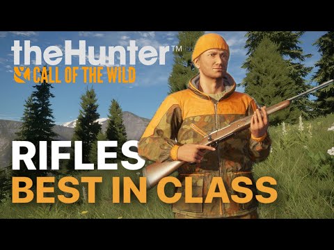 The Best Rifle For Every Animal Class | the Hunter Call of the Wild