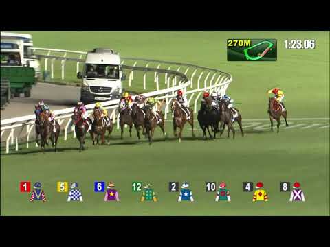 7/7/2021 (815) Everyone's Delight - Z Purton