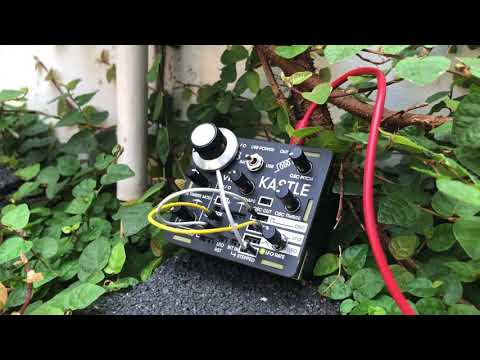 KASTLE v1.5 | #8 - Broken growl.