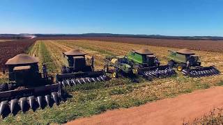 Colheita de Milho - Unidade em Matupá