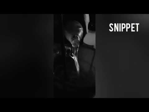 CAGO - Snippet 1 (prod. by Joezee/Magestick + v.a.) [Official Video]