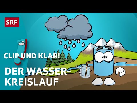 Wasserkreislauf: Was ist das? | SRF Kids – Clip und klar! | Für Kinder erklärt