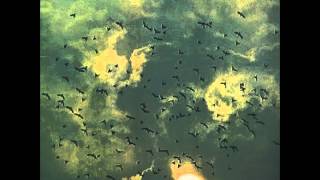 Mal Waldron & Terumasa Hino - Black Forest