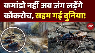 Cockroach Vs Commando | Germany की कॉकरोच फौज | Future War Without Soldiers?
