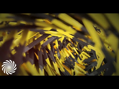 Formantz & Render - Cardioblast