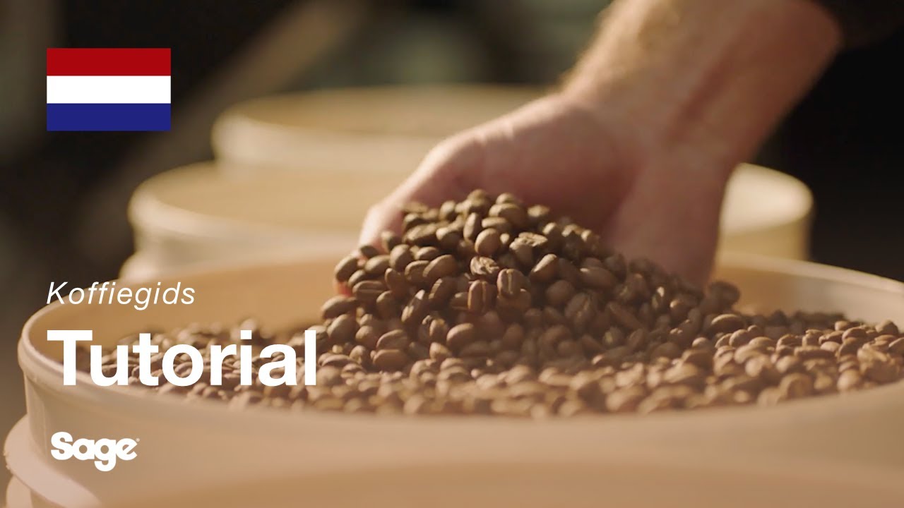 Instructiegids Breville koffie - De juiste bonen kiezen