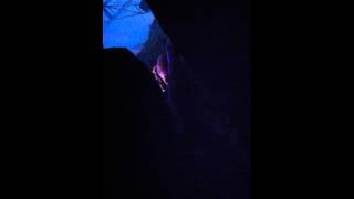 Novastar - When The Lights Go Down, Because, Never Back Down (Live)