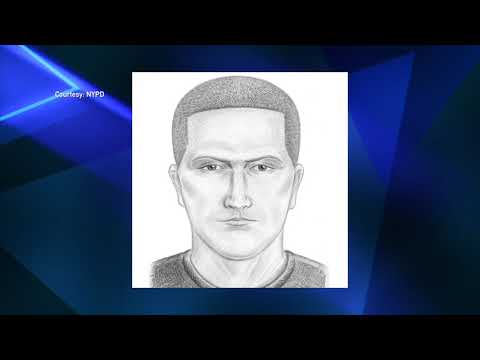 Brooklyn Subway Attacker