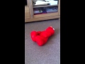 Elmo By Andy