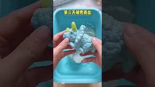 Download lagu 🛒🔗www.tinyurl.com/eazy-order 💳💰📦 | BUY | ORDER | PURCHASE | HATCHING DINOSAUR EGG mp3 Download lagu 🛒🔗www.tinyurl.com/eazy-order 💳💰📦 | BUY | ORDER | PURCHASE | HATCHING DINOSAUR EGG mp3