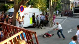 preview picture of video 'Accident de taureau lors de la Bandido de Calvisson du 17/07/2010'