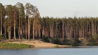 Поселок куровское д тереньково как там рыбалка