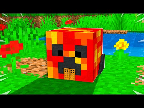 Preston vs Brianna TINY Minecraft House Battle!