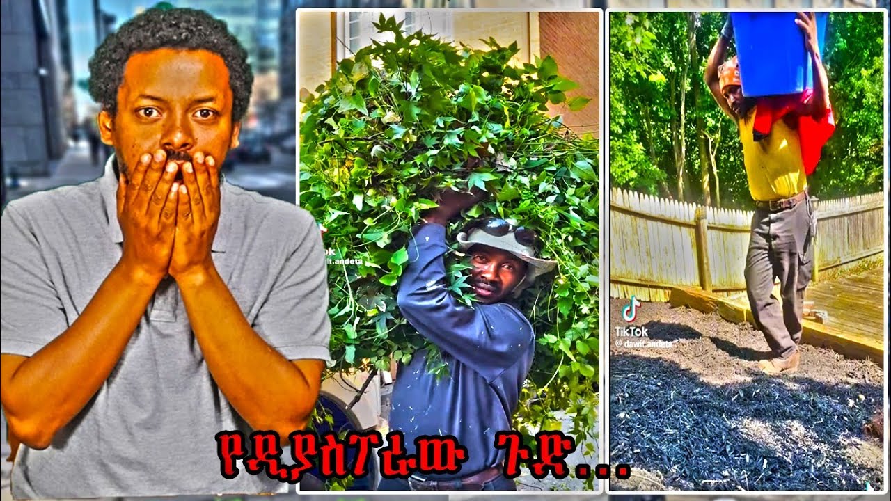 ችጋራም ዲያስፖራ!