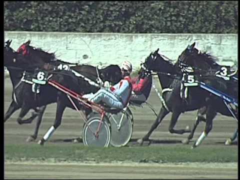 Trotto 15/04/2016 - 1° Corsa II° TRIS