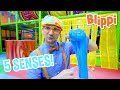 Learn Five Senses With Blippi At The Indoor Kids Playground Educational Videos For Toddlers
