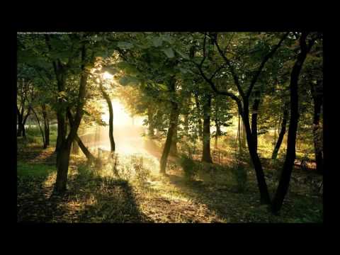 elpirri - Campos Solares (Psybient / Ambient / Chillout Mix)