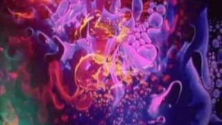 Porcupine Tree - Last Chance to Evacuate Planet Earth