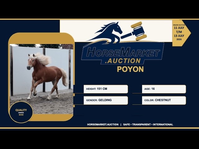Poyon