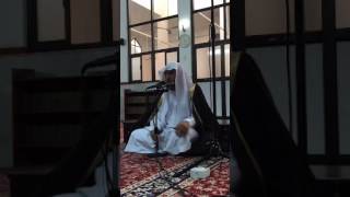 صورة DrAlsoger 2016 12 05 02 21