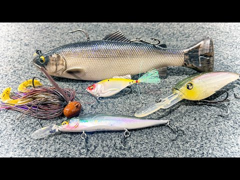 Watch How To Catch Bass During The Fall To Winter Transition (Cold