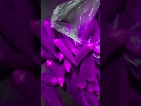 wow 5 #Rubina khan #love #dance