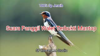 Download lagu suara panggil walet terbukti mantap, 100% sp jernih mp3