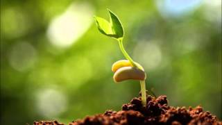 Psalm 23 Bobby McFerrin