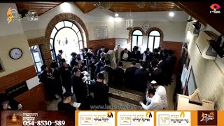 שידור חוזר: אלפים בקרסטר למען ה-Yartzeit של רב שיאלה מקרסטיר