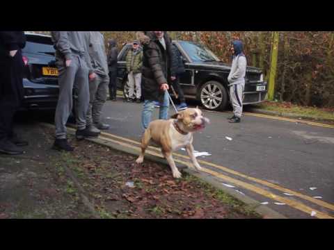 POC Media - Smallz Im Back Prod. By Western Genius [MY SICK NOTE EP] 6/3/17