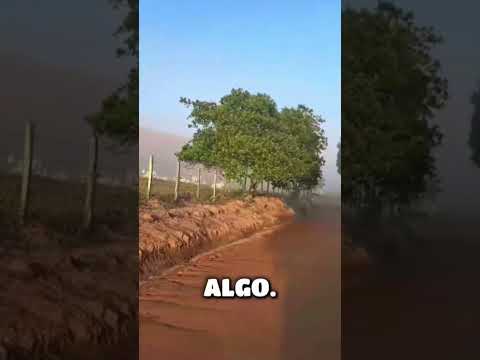 Tempo 2023 #LilianCapitani #Brasil #EspíritoSanto #Pancas #Lajinha ##Laginha #lajinhadopancas #fyfy