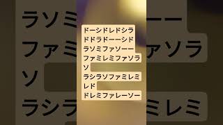 Download lagu ♪ボレロを吹きます #ソプラノリコーダー #ラヴェル #クラシック mp3