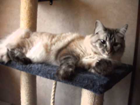 Flipou .... tranquille...