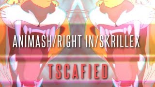 Animash | RIGHT IN | Skrillex
