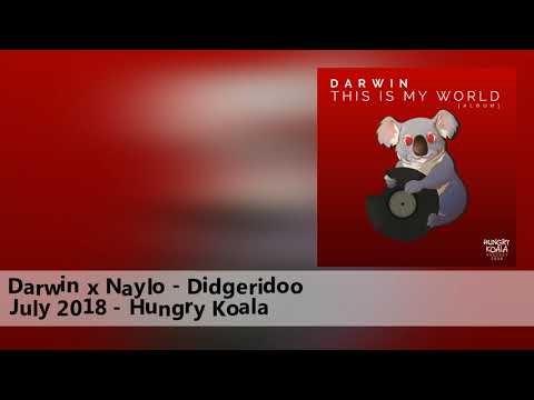 Darwin x Naylo - Didgeridoo [Techno]