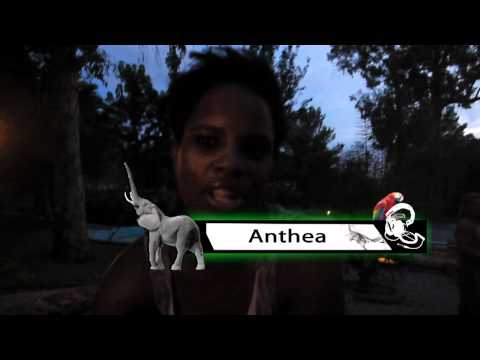 The Zoo Project Presents Anthea @ Channel Zoo Ibiza