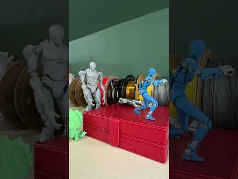 Dummy 13 Version 1.0 by Gabriel Rosiak is licensed under CC BY 4.0 www.printables.com/model/981111