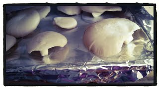 Making Spore Prints | Propagating Oyster Mushrooms PART 1