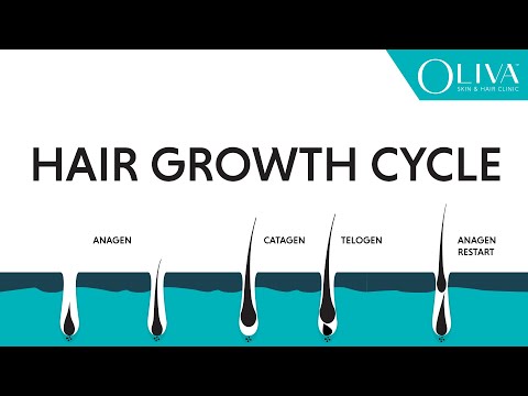 Natural Hair Growth Cycle: Explainer Video On Anagen, Catagen & Telogen Phases