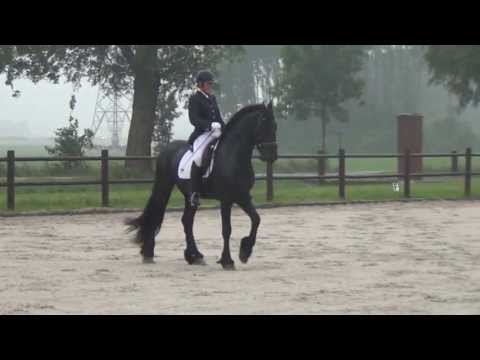 Stal Okkema's Siard L1 Dressuur Jasper x Leffert