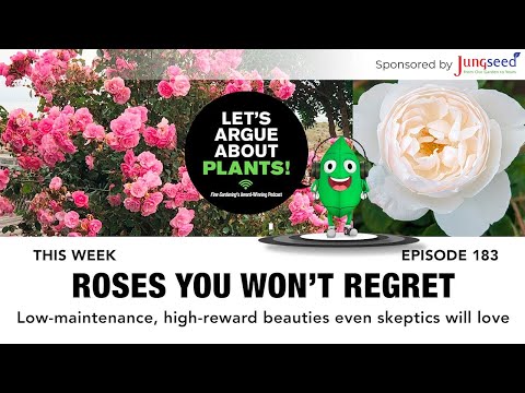 Episode 183: Roses You Won't Regret | Tried & True Roses | Let's Argue About Plants #rosegarden