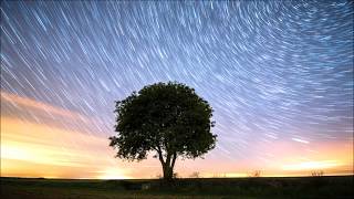 Lostboycrow - Nobody Knows