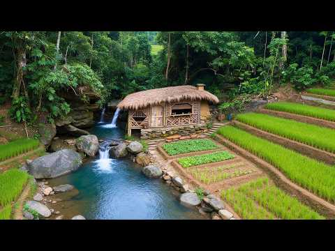 24-Year-Old Turns Wild Jungle Into a Self-Sufficient Farm in 10 Months