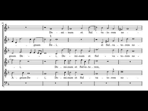 Philippe de Monte: Sancte Joannes Baptista - Currende