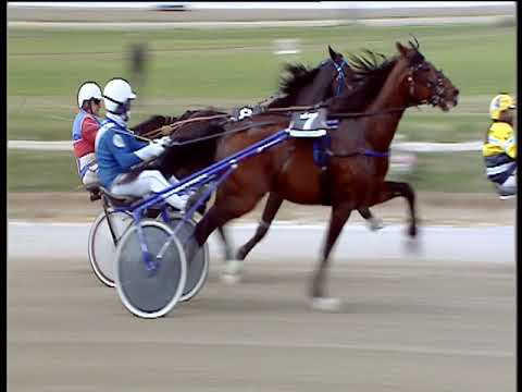 Trotto 26/03/2019 - 1ª corsa