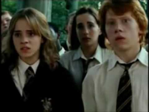 Ron&Hermione- Com'è difficile stare (Lamù)