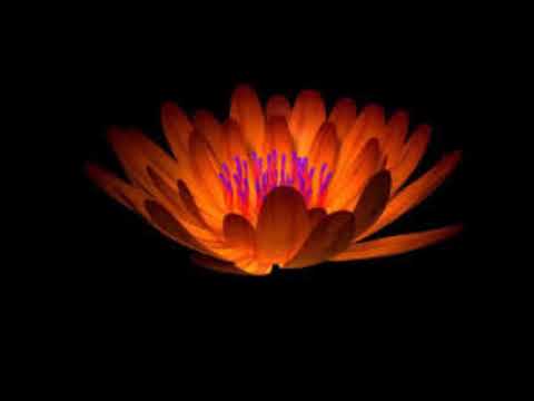 Bhutan raijwni nareng komla baidi (Bodo Song)