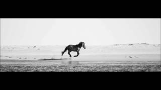 Penguin Cafe - Now Nothing