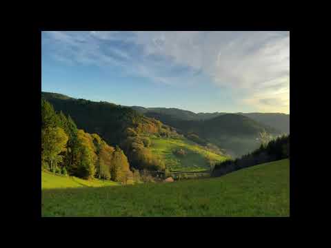 The Silence   Heilsamer Klang 432 Hz Körpermonochord HarmoChord  www.einklang-link.com