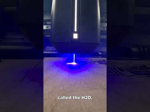 DID THEY GO TOO FAR?